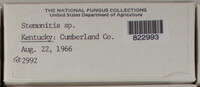 Image Associated With the Occurence